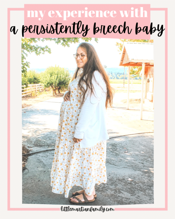 Copy of Amelia Bundle LiketoKnow.it Templates 5